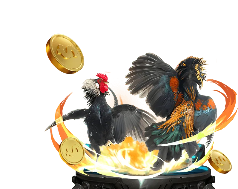 Phân tích kèo Đá Gà C8BET