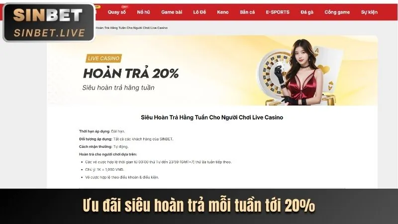 Giới thiệu tổng quan về c8bet